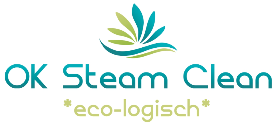 OK Steam Clean-logo